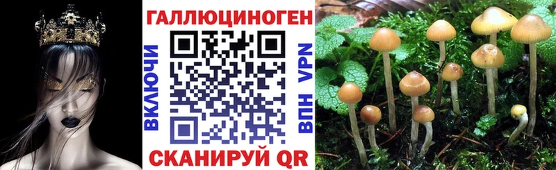 где купить наркоту  Долинск  Галлюциногенные грибы Cubensis 